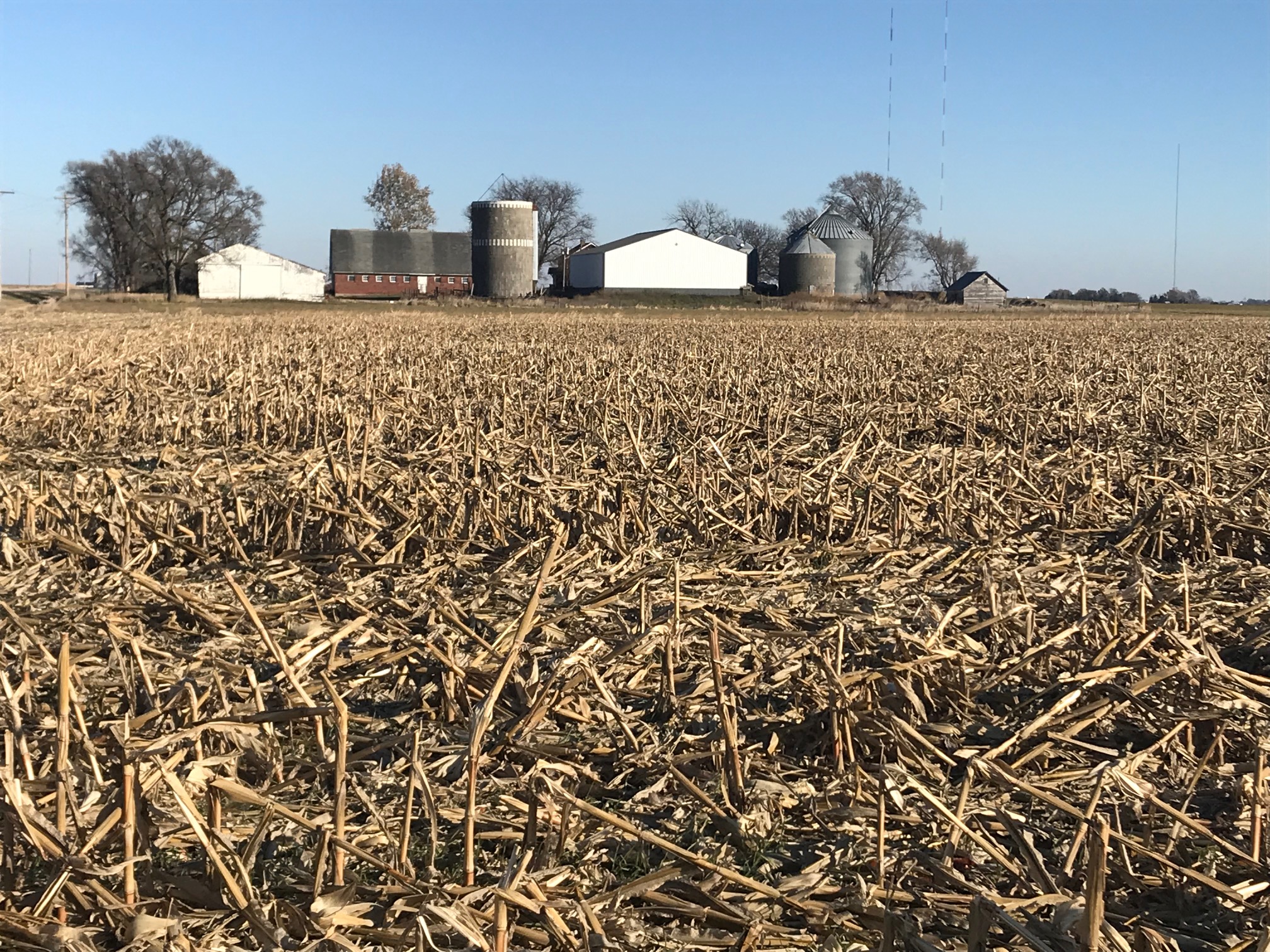 Harvested corn stubble with a farm and silos in the distance