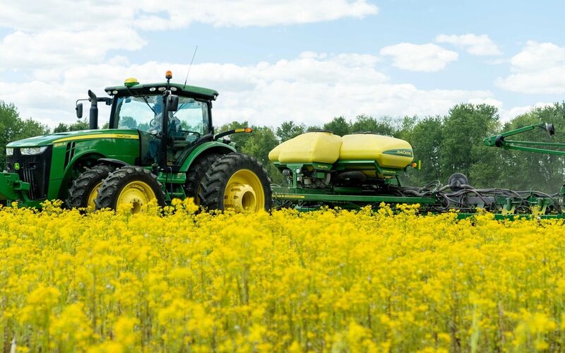 Planting into a flowering cover crop — a soil-health practice
